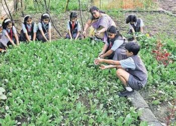 Thane, India - January 4, 2018: Farming at St. Xaviers school, Bhrahmand in Thane, India, on Thursday, January 4, 2018.