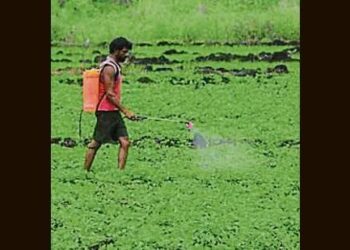 Farmers can now self-enrol for PM-Kisan via new mobile app with face recognition