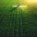 Summer crop area marginally down YoY