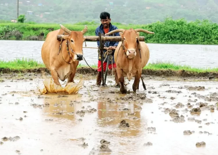 What We Need To Know Climate-Smart Farming: The Latest Advances in India