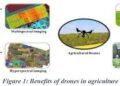 Drone technology in agriculture: Benefits and challenges for rural India