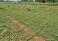 Currently, approximately 17 per cent of the agricultural land in Maharashtra is under micro irrigation. Read more at: https://economictimes.indiatimes.com/news/economy/agriculture/is-india-in-step-to-develop-a-sustainable-agricultural-future-as-envisioned-in-cop27/articleshow/97460358.cms?utm_source=contentofinterest&utm_medium=text&utm_campaign=cppst