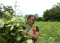 Indian women venture into farming hoping to be able to provide an additional source of income for their families