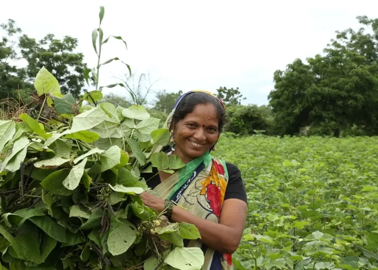 Indian women venture into farming hoping to be able to provide an additional source of income for their families