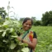Indian women venture into farming hoping to be able to provide an additional source of income for their families