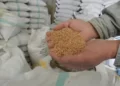 India will continue to export food grains to vulnerable countries