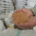 India will continue to export food grains to vulnerable countries