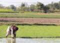 Farmers To Get Rs 300000 Loan At 4 Per Cent Under Kisan Credit Card Scheme