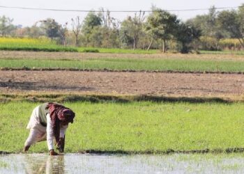 Farmers To Get Rs 300000 Loan At 4 Per Cent Under Kisan Credit Card Scheme