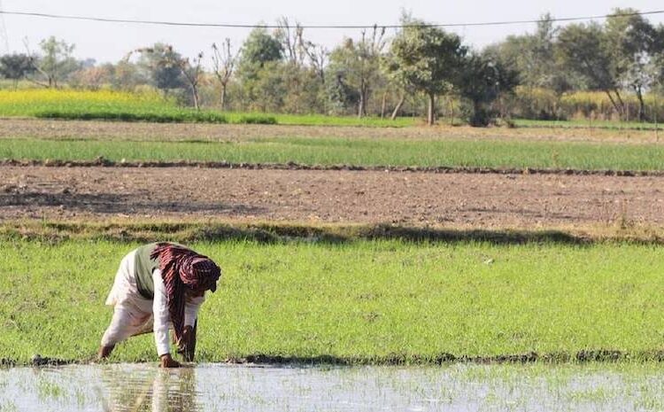 Farmers To Get Rs 300000 Loan At 4 Per Cent Under Kisan Credit Card Scheme