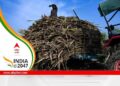 What Worries Small Sugarcane Farmers In India, Brazil And Mexico