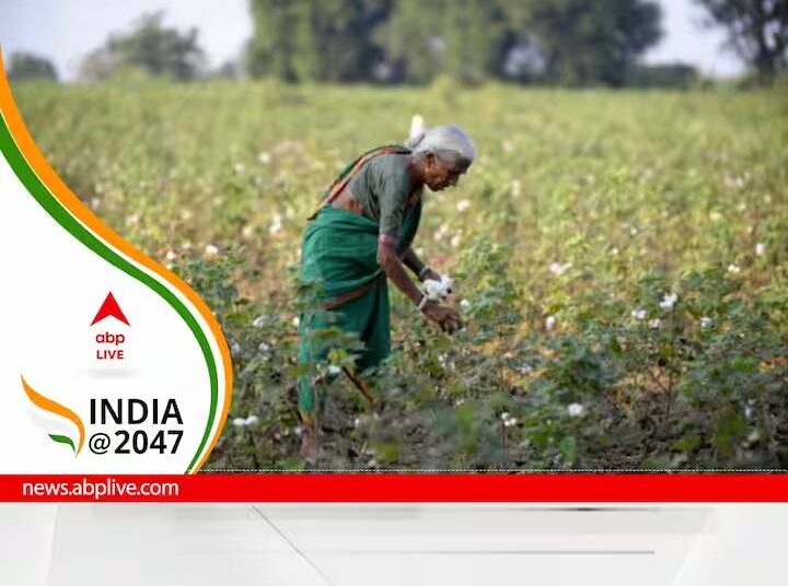 For Small Cotton Farmers In India And China, Lack Of Water Availability Top Concern