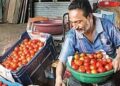 A vendor sorts tomatoes at a market, in Nagpur on Thursday.