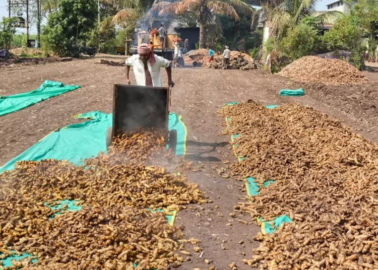 Expert Panel Recommends Legal Framework For MNI Platform