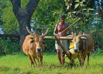Suriname woos Indian agri firms to boost farming