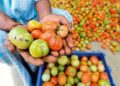 Agriculture ministry in talks to take over tomato, onion, potato scheme