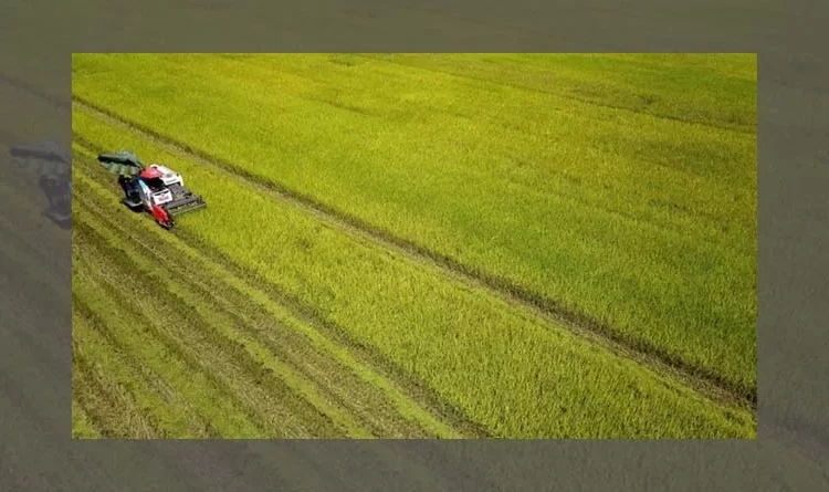 The agricultural sector strives to successfully achieve the set targets.