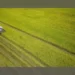 The agricultural sector strives to successfully achieve the set targets.