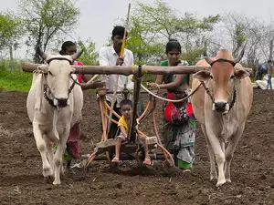 Niti Aayog pitches for reforms, more private sector role in agri sector