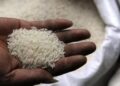 Rice to get costlier as weather, India’s farm perks threaten supply