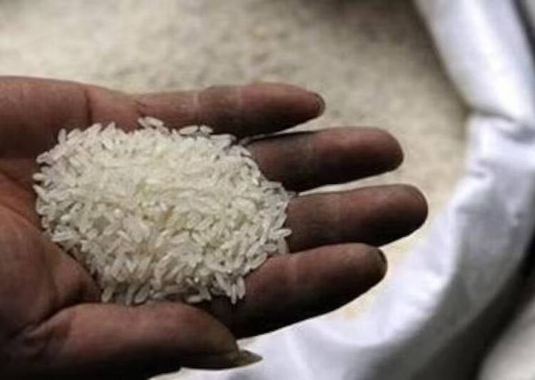 Rice to get costlier as weather, India’s farm perks threaten supply