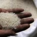 Rice to get costlier as weather, India’s farm perks threaten supply