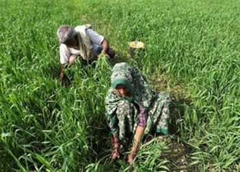 Promote organic farming to boost soil health, says Mandaviya