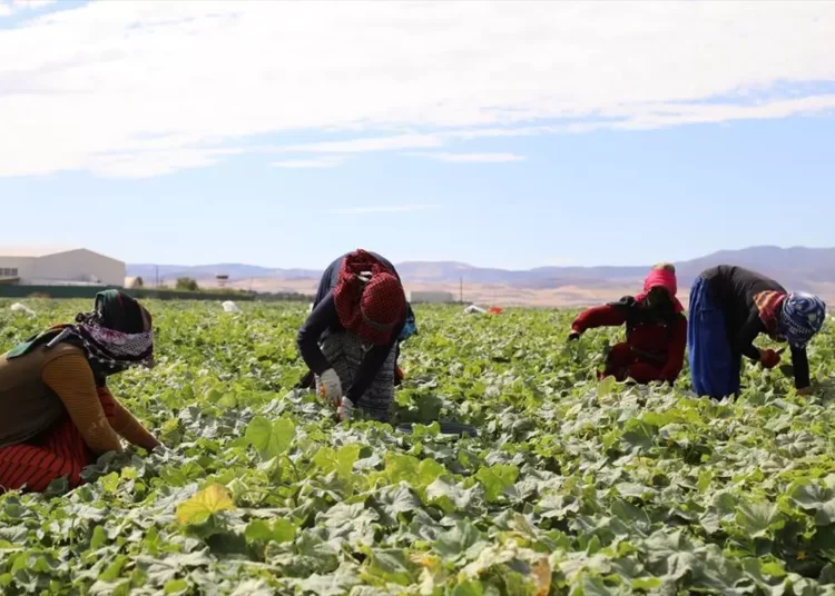 Annual growth in agriculture input costs slows