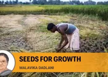 Seeds for growth: How technology can boost Indian agriculture