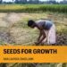 Seeds for growth: How technology can boost Indian agriculture
