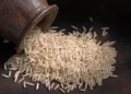 India basmati rice exporters get requests for early shipments