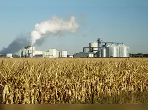 Ethanol is an agro-based product, mainly produced from a by-product of the sugar industry, namely molasses