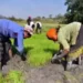 India has three cropping seasons -- summer, kharif, and rabi.