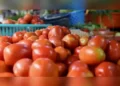 India to import tomatoes from Nepal amid surge in price, says Nirmala Sitharaman Read more at: https://economictimes.indiatimes.com//news/economy/agriculture/india-to-import-tomatoes-from-nepal-amid-surge-in-price-says-nirmala-sitharaman/articleshow/102602718.cms?utm_source=contentofinterest&utm_medium=text&utm_campaign=cppst