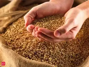India wheat prices jump to 6-month high on demand, limited supply