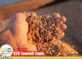 India’s G20 Presidency Highlights Food Safety Net Programmes, Says Agriculture Ministry