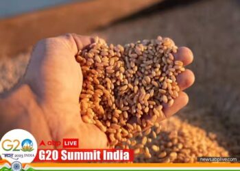 India’s G20 Presidency Highlights Food Safety Net Programmes, Says Agriculture Ministry