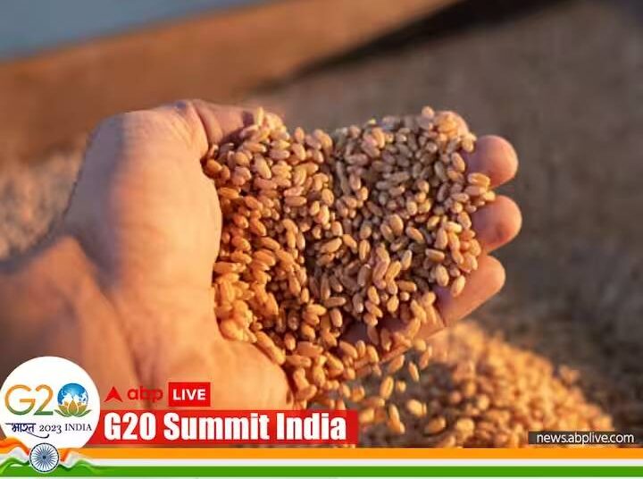 India’s G20 Presidency Highlights Food Safety Net Programmes, Says Agriculture Ministry
