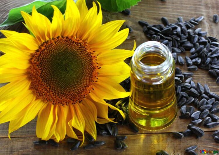 Insecticide Seed Treatment Market Analysis By Top Keyplayers – Bayer Cropscience, BASF, Syngenta, The DOW Chemical Company, DuPont, Nufarm, Monsanto, FMC Corporation, Novozymes, Platform Specialty Products, Sumitomo Chemical Company, Adama Agricultural So