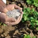 Agricultural sustainability: The role of bio-fertilizers in circular economy