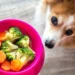 New Research Increases Confidence in the Benefits of Vegan Diets for Dogs
