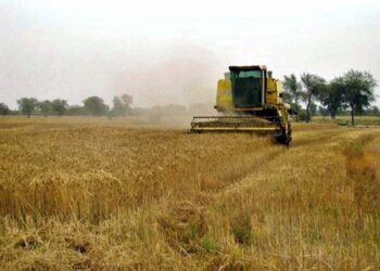 Modern Agriculture India