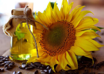 India’s First Edible Oil Consumption Survey Underway