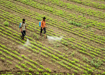 Smart Farming: Google’s Digital Agri Stack to Transform Indian Agriculture