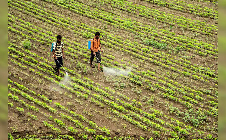 Smart Farming: Google’s Digital Agri Stack to Transform Indian Agriculture