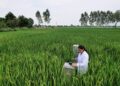 Empowering India’s Farmers: BII’s Investment in Sustainable Agriculture