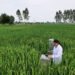 Empowering India’s Farmers: BII’s Investment in Sustainable Agriculture