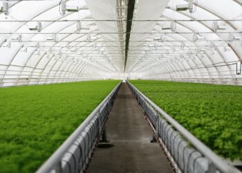 India Gears Up for Its First International Agri Hackathon in Pune, June 1–3, 2025