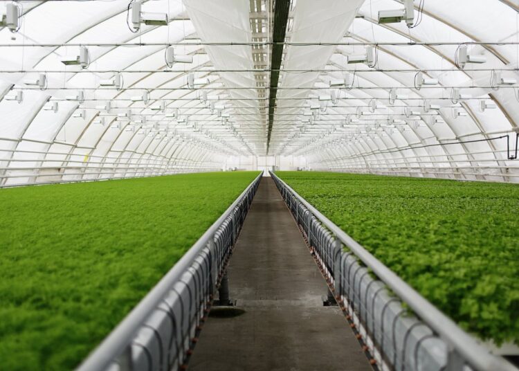 India Gears Up for Its First International Agri Hackathon in Pune, June 1–3, 2025