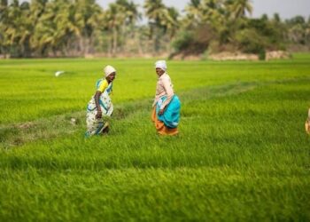 Indian Agri Market Poised for Massive Growth by FY30